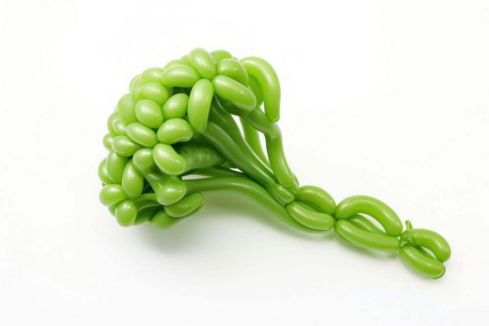A balloon twisting in the shape of a broccoli jewelry green food. AI generated Image by rawpixel.