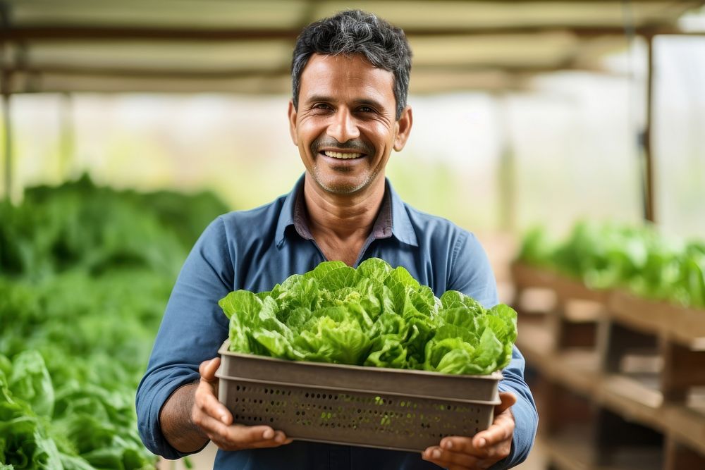 Man holding a crate of lettuce vegetable organic working. AI generated Image by rawpixel.