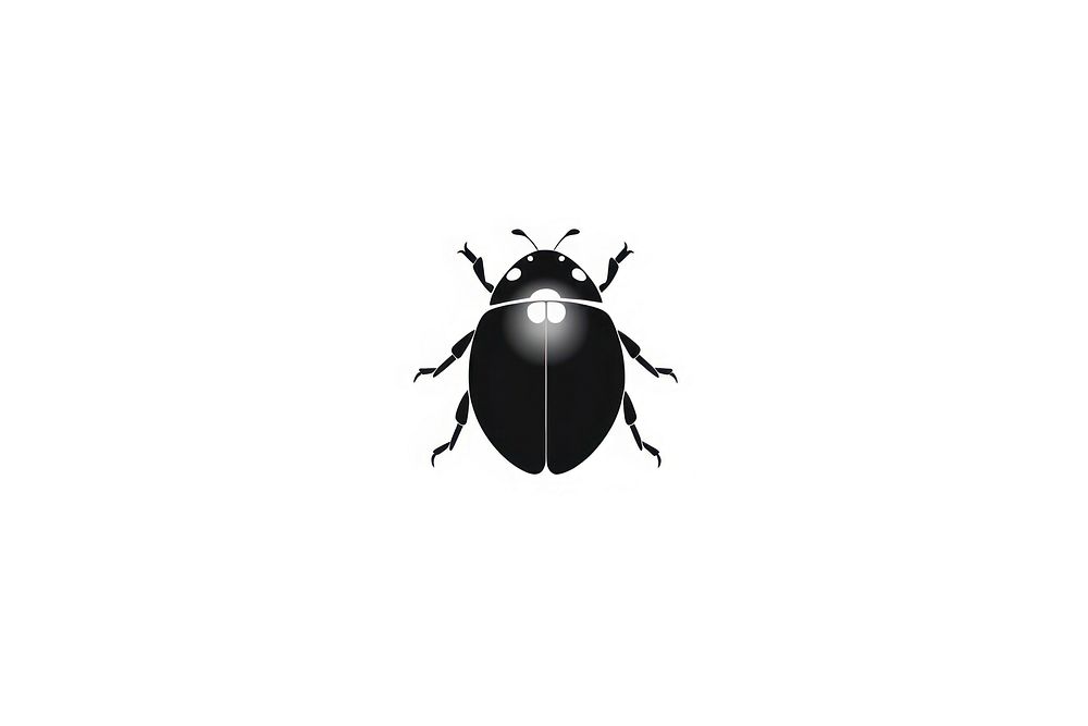 Ladybird insect animal black. AI generated Image by rawpixel.