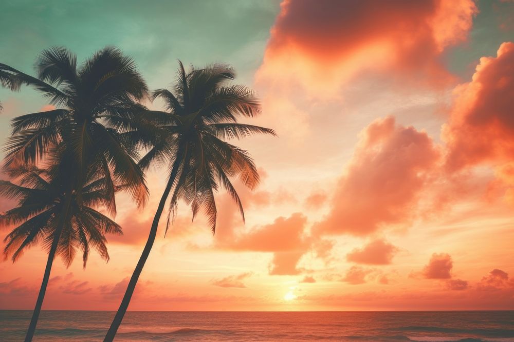Palm trees beach outdoors horizon. AI generated Image by rawpixel.