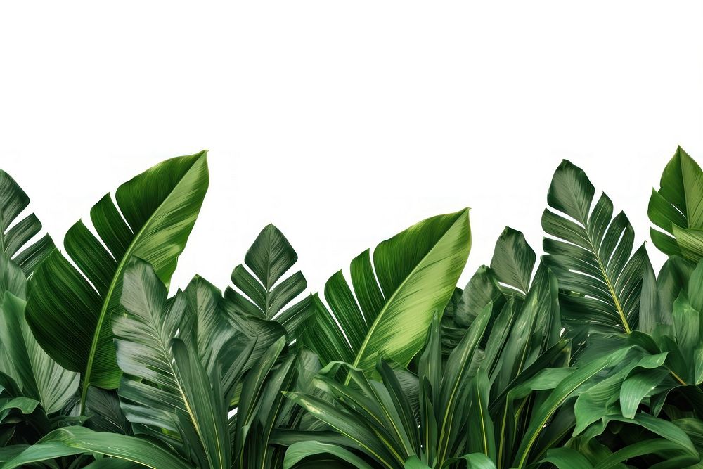 Tropical leaves backgrounds outdoors nature. AI generated Image by rawpixel.
