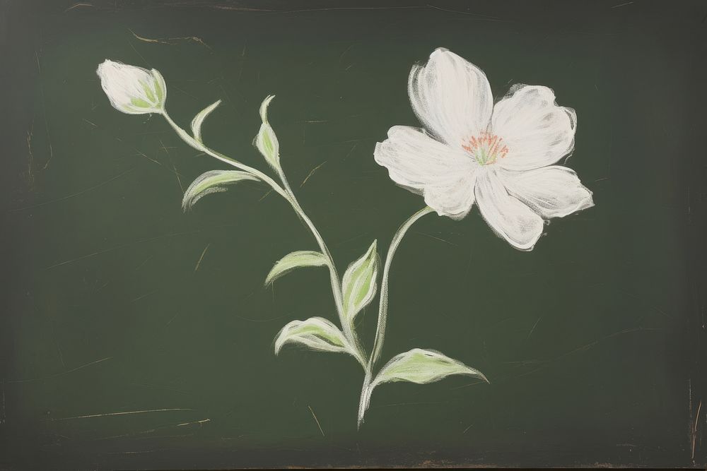 Floral blackboard painting flower. AI generated Image by rawpixel.