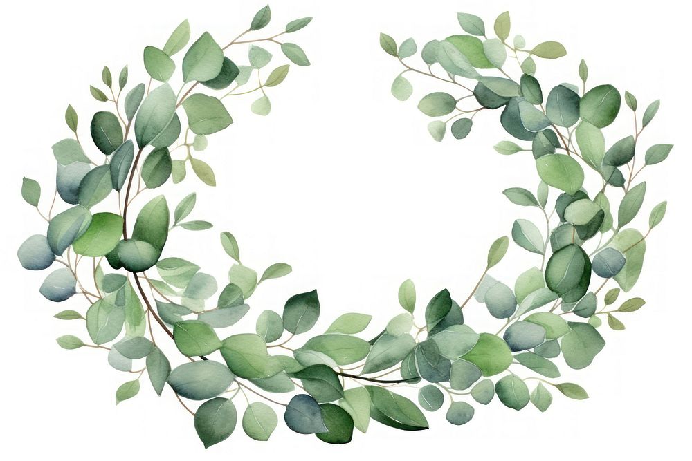 Eucalyptus wreath pattern plant. AI generated Image by rawpixel.