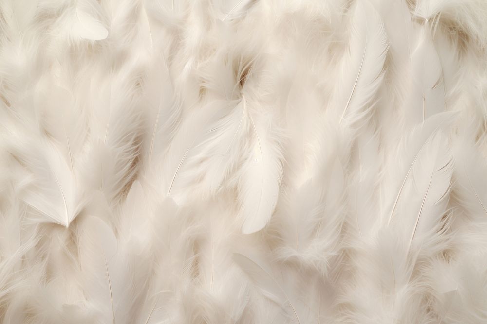 White feathers backgrounds lightweight softness. | Premium Photo - rawpixel