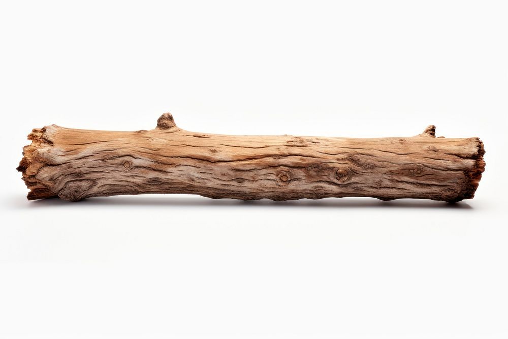 Log wood driftwood white background. AI generated Image by rawpixel.