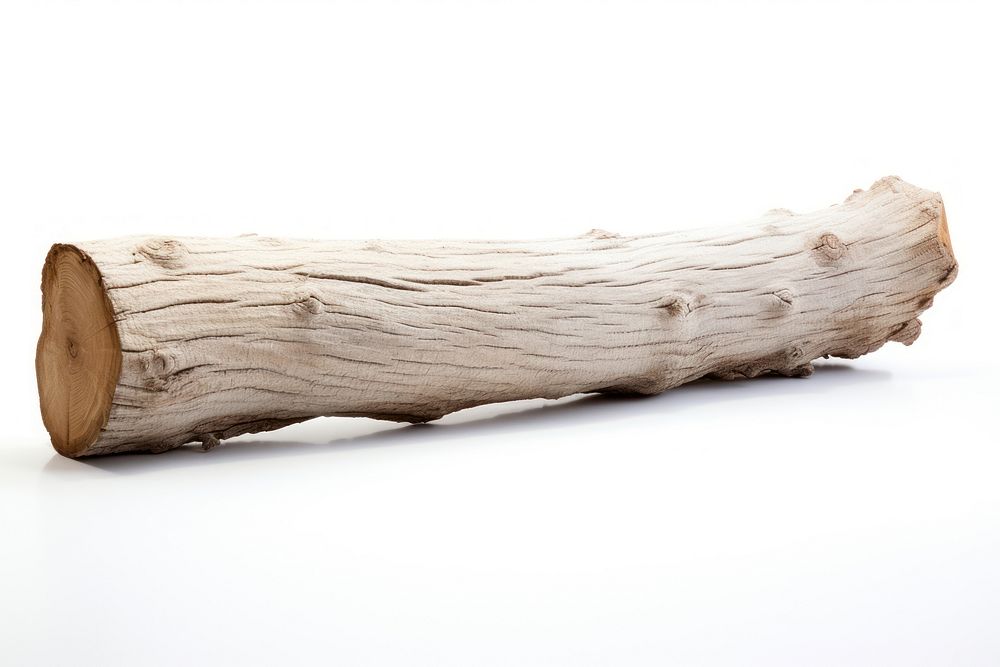 Log driftwood plant tree. AI generated Image by rawpixel.