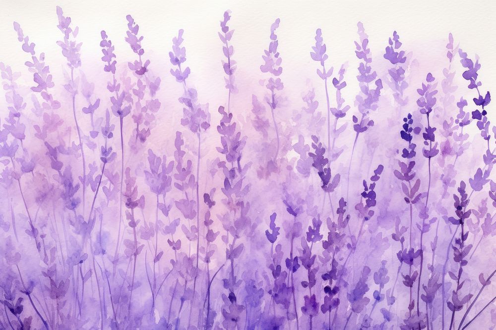 Lavender backgrounds blossom flower. AI | Free Photo Illustration ...