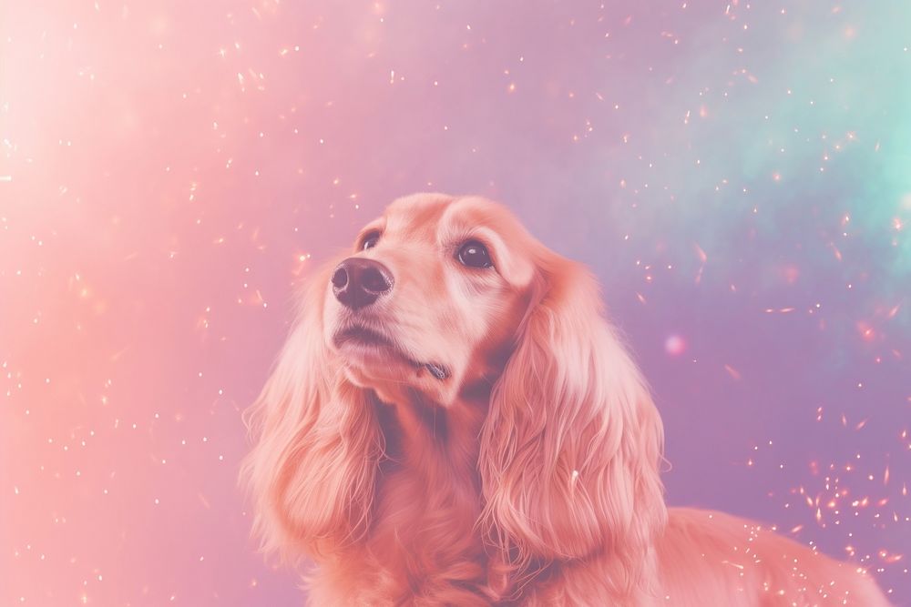Dog spaniel animal mammal. AI generated Image by rawpixel.