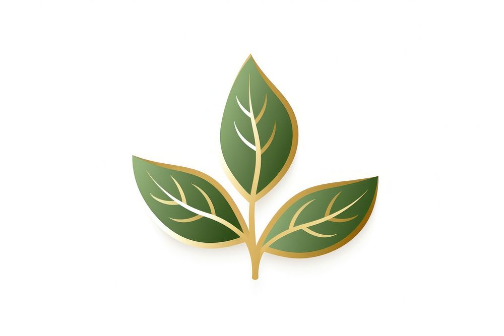 Leaf icon plant white background growth. AI generated Image by rawpixel.