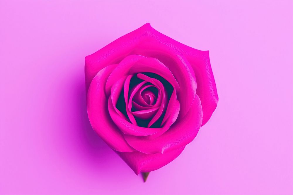 Rose flower petal plant. AI generated Image by rawpixel.
