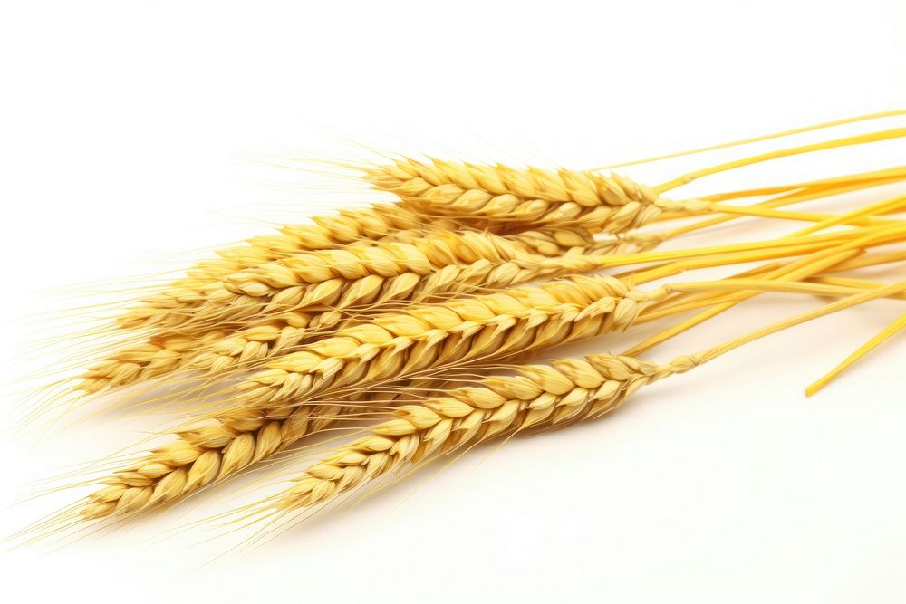 Wheat barley plant food. AI generated Image by rawpixel.
