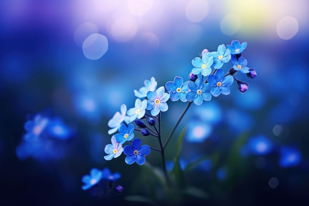 Forget me not flower outdoors blossom. AI generated Image by rawpixel.