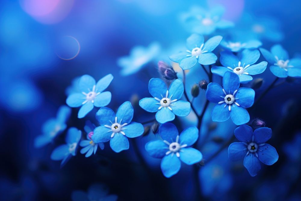 Forget me not outdoors flower nature. AI generated Image by rawpixel.