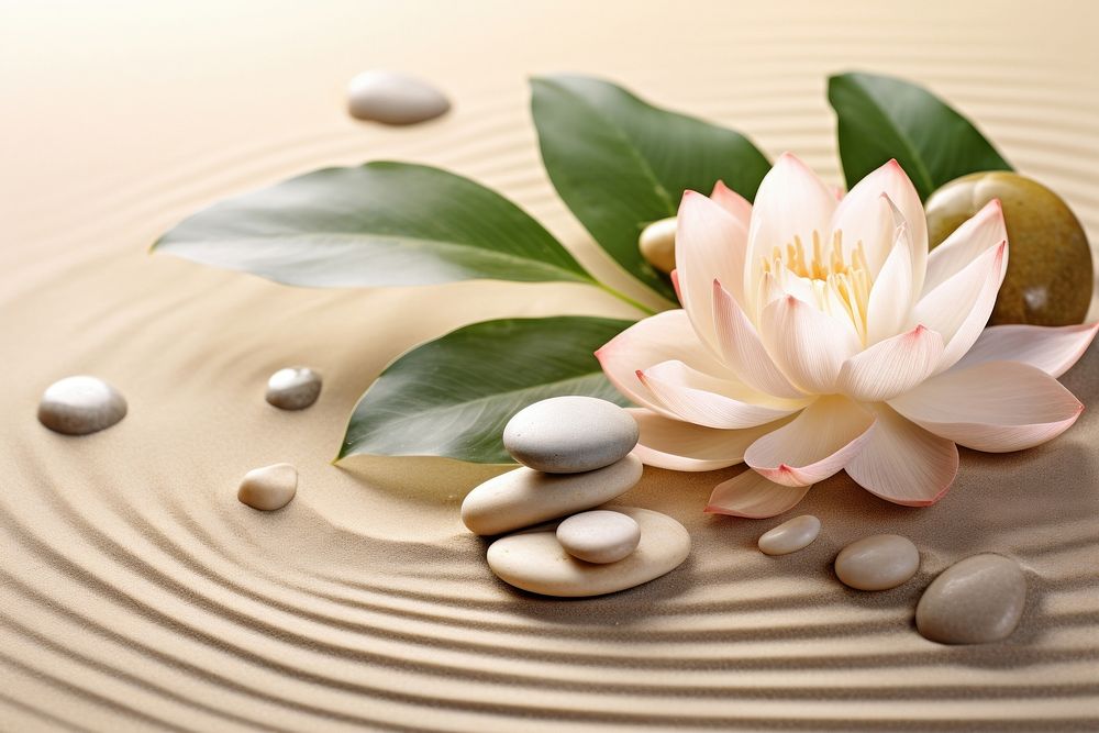 Flower plant pill spa. AI generated Image by rawpixel.