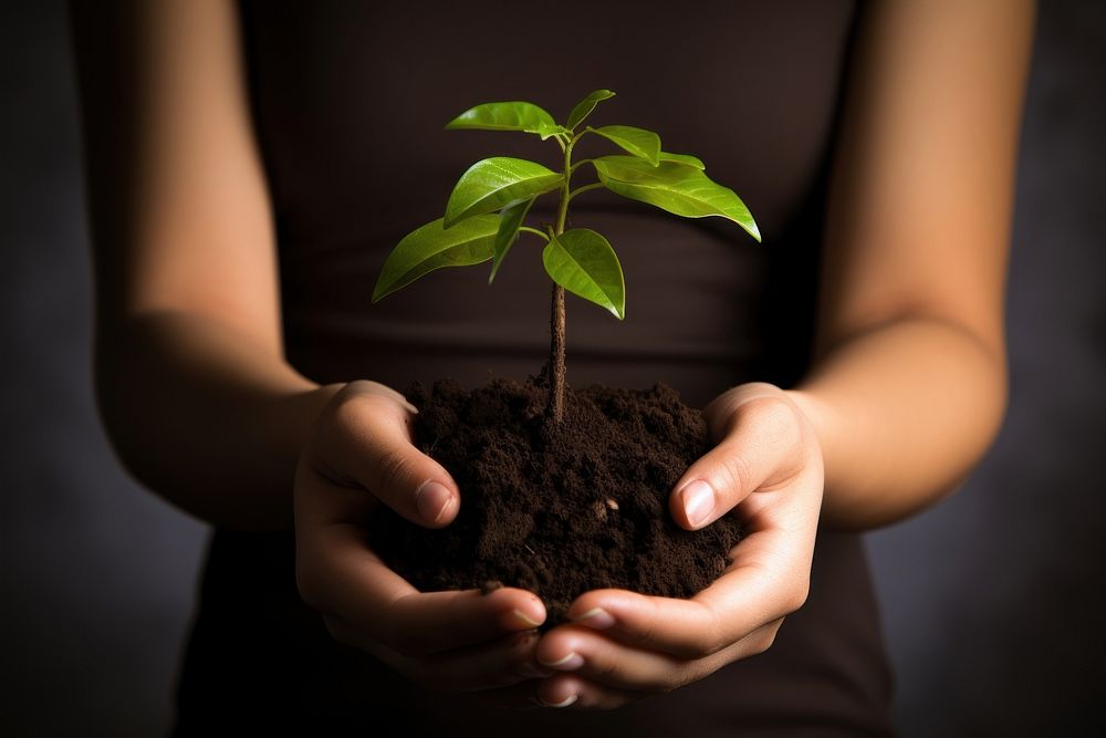 Girl tree plant in hands planting nature finger. AI generated Image by rawpixel.