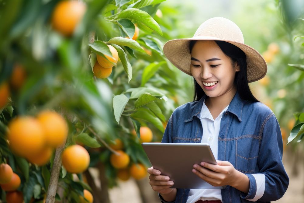 Asian woman farmer working in orange farm computer smiling plant. AI generated Image by rawpixel.