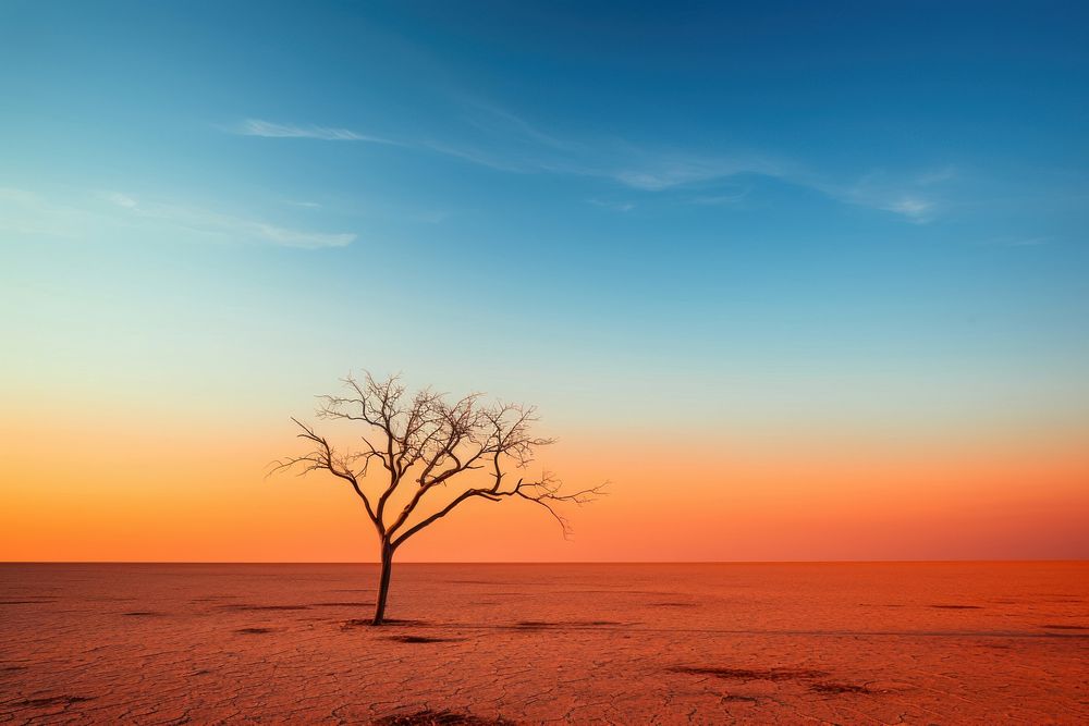 Sky landscape outdoors horizon. AI generated Image by rawpixel.