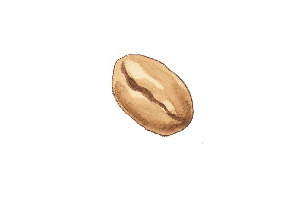Coffee bean white background vegetable currency. AI generated Image by rawpixel.