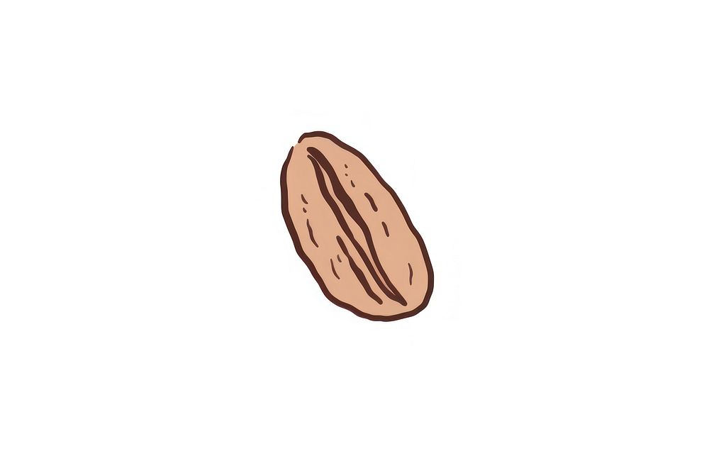 Coffee bean nut white background freshness. AI generated Image by rawpixel.