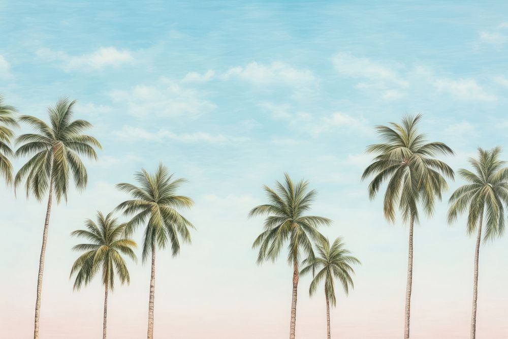 Palm trees on the beach backgrounds outdoors nature. AI generated Image by rawpixel.