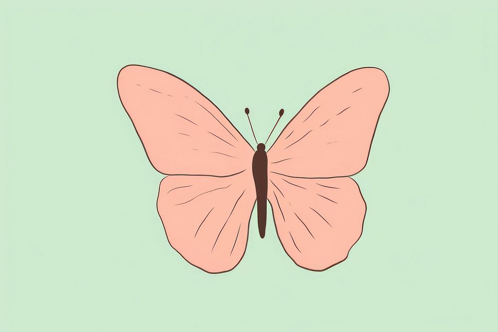 Butterfly cartoon animal insect. AI generated Image by rawpixel.