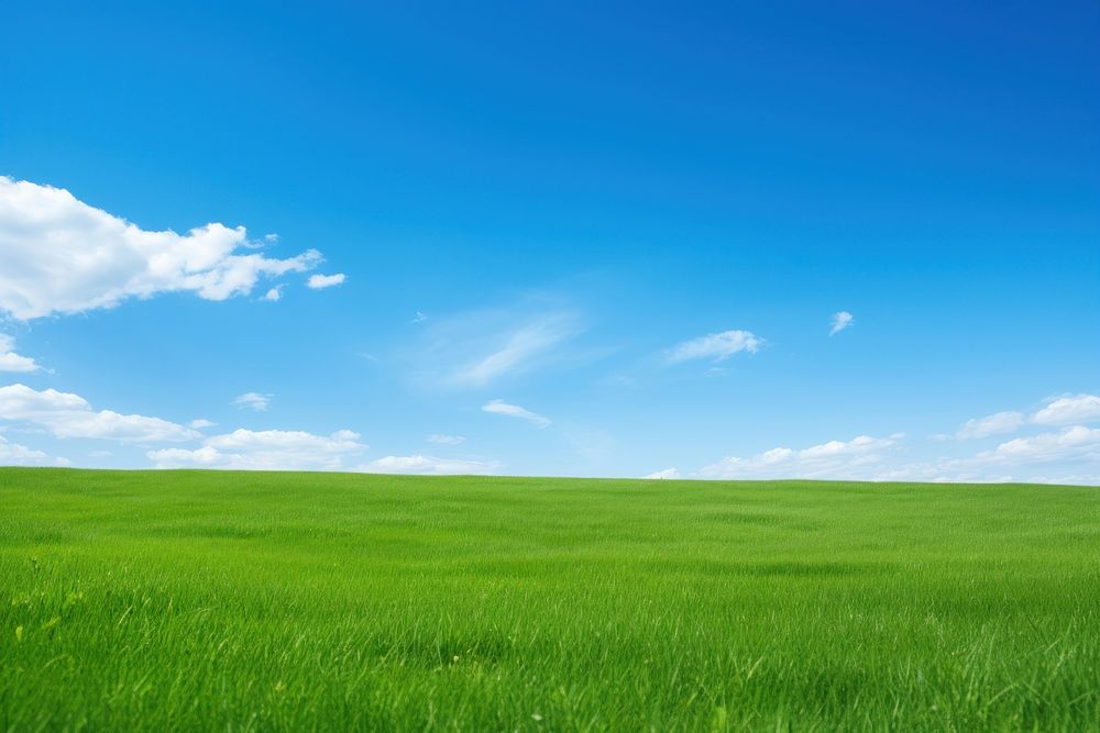 Clear lawn landscape sky backgrounds. AI generated Image by rawpixel.