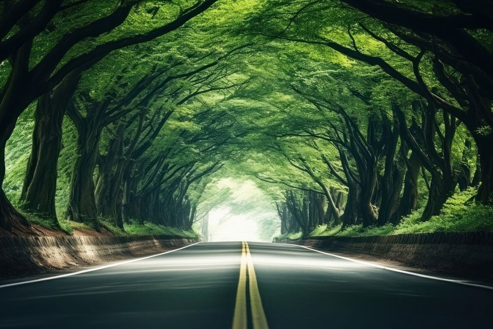 Road through tree tunnel landscape outdoors highway. AI generated Image by rawpixel.