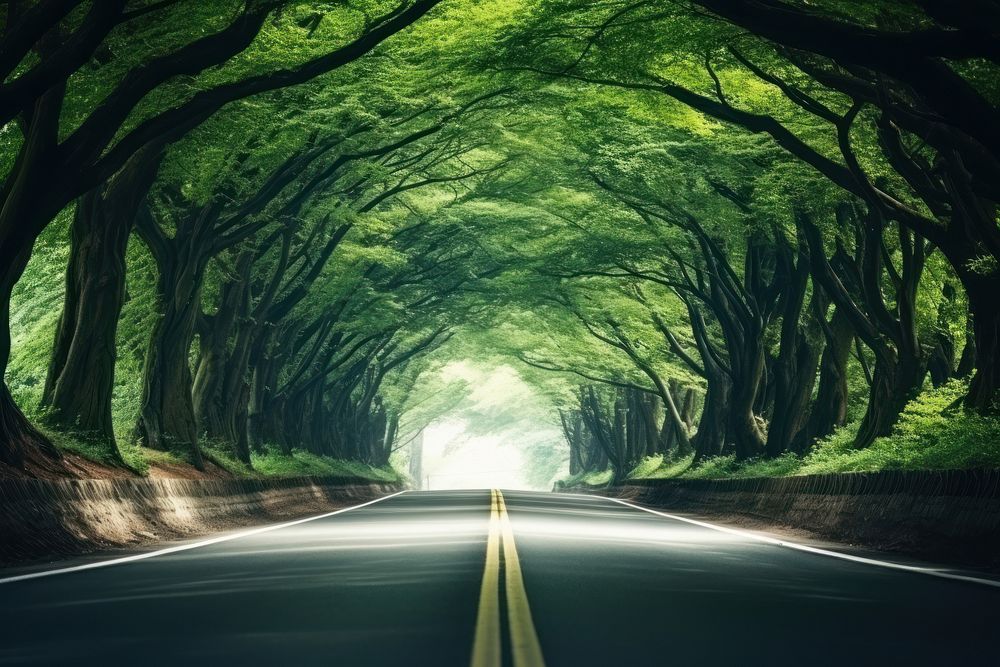 Road tree tunnel landscape outdoors | Premium Photo - rawpixel