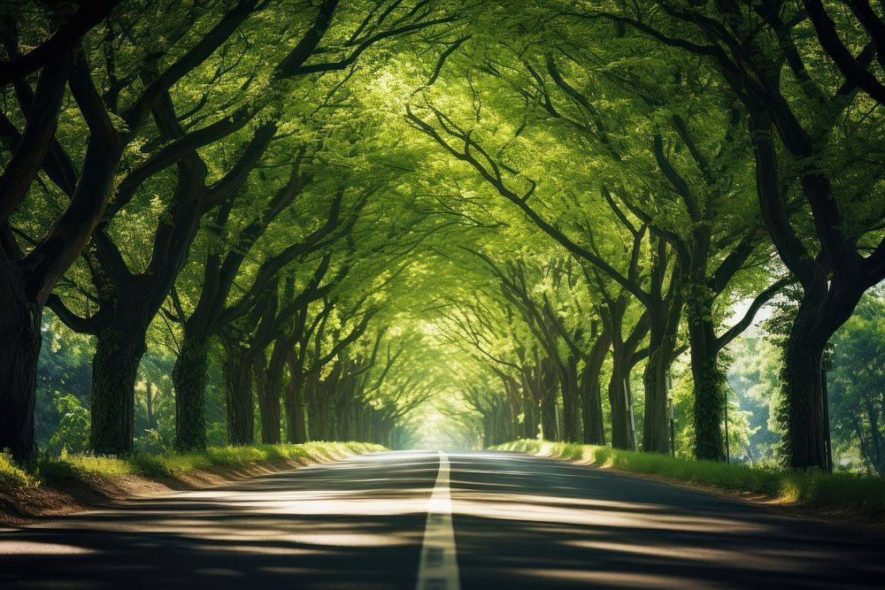 Road through tree tunnel landscape outdoors woodland. AI generated Image by rawpixel.