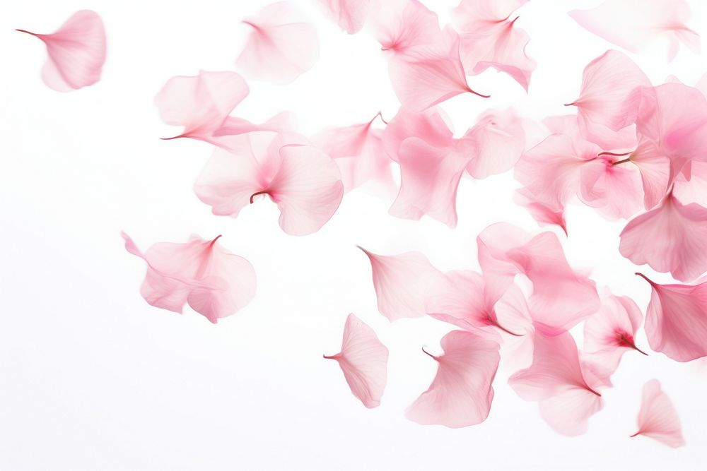 Pink petals backgrounds flower plant. AI generated Image by rawpixel.