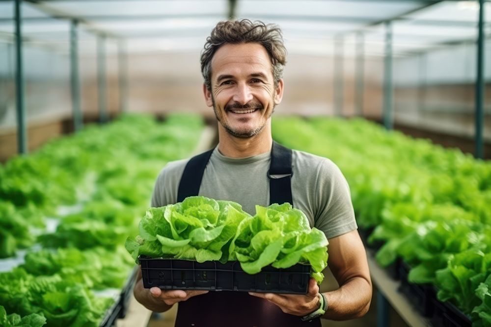 Man holding a crate of lettuce greenhouse vegetable organic. AI generated Image by rawpixel.
