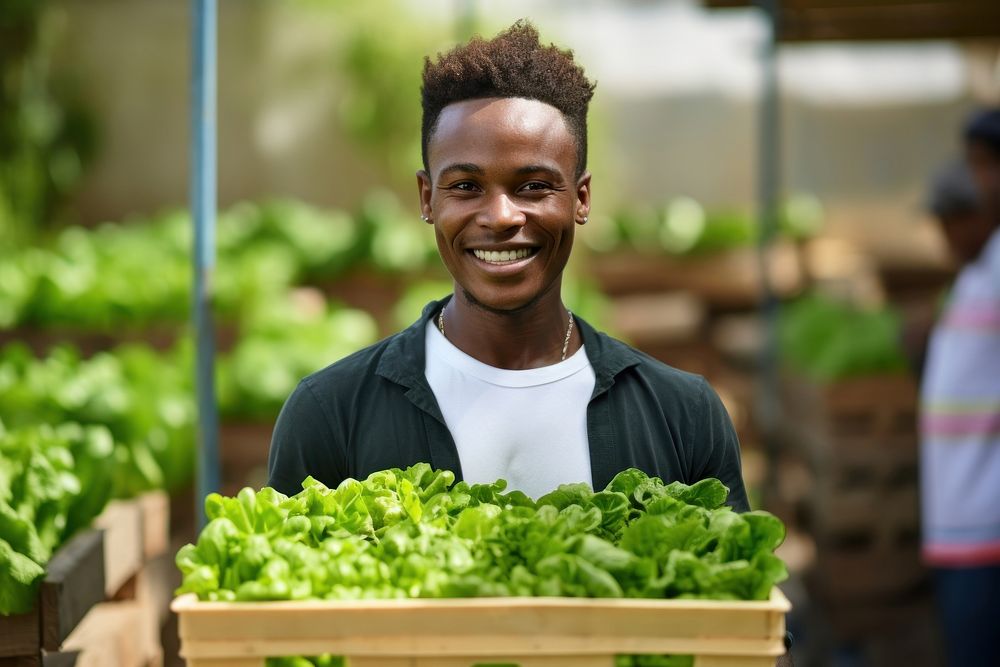 Man holding a crate of lettuce vegetable organic working. AI generated Image by rawpixel.