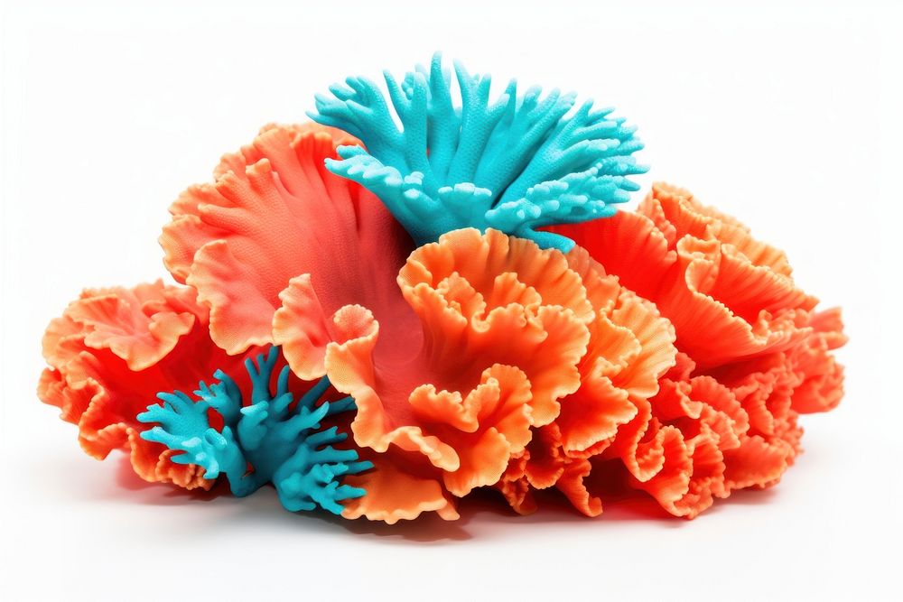 Orange and turquise coral flower nature plant. AI generated Image by rawpixel.
