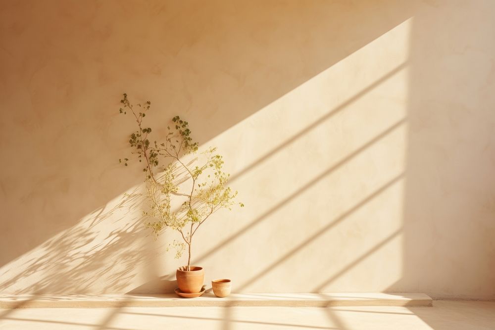 Clear wall bathed in warm sunlight with subtle shadows architecture window plant. AI generated Image by rawpixel.