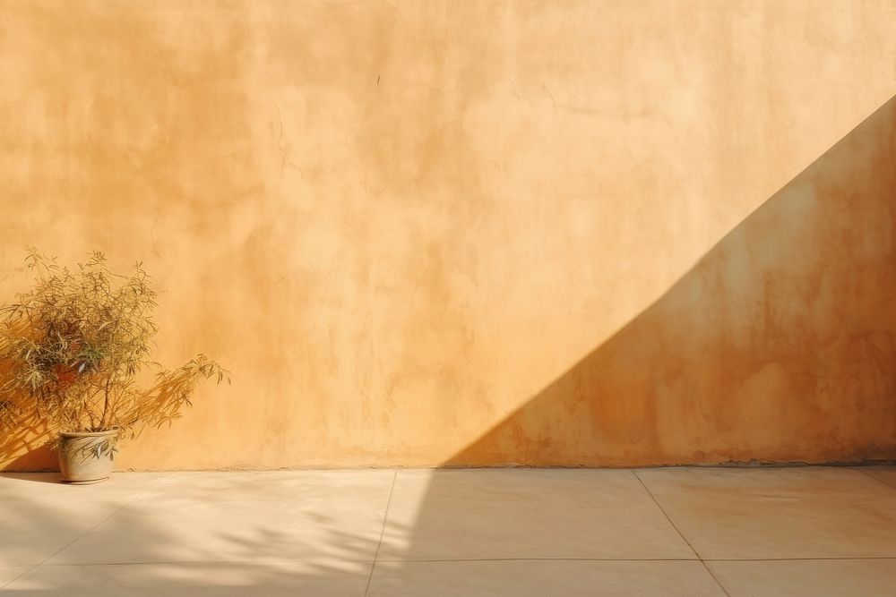 Clear wall in warm sunlight with subtle shadows architecture building plant. AI generated Image by rawpixel.