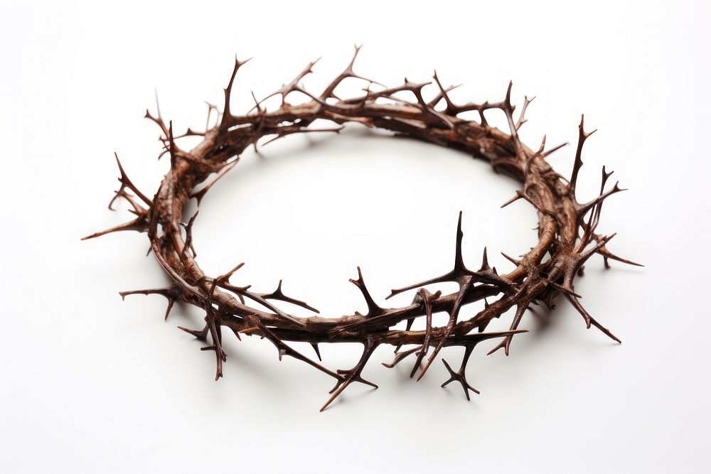 Crown of Thorns white background celebration accessories. AI generated Image by rawpixel.