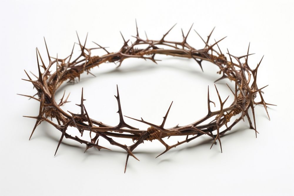 Crown of Thorns wire white background accessories. AI generated Image by rawpixel.