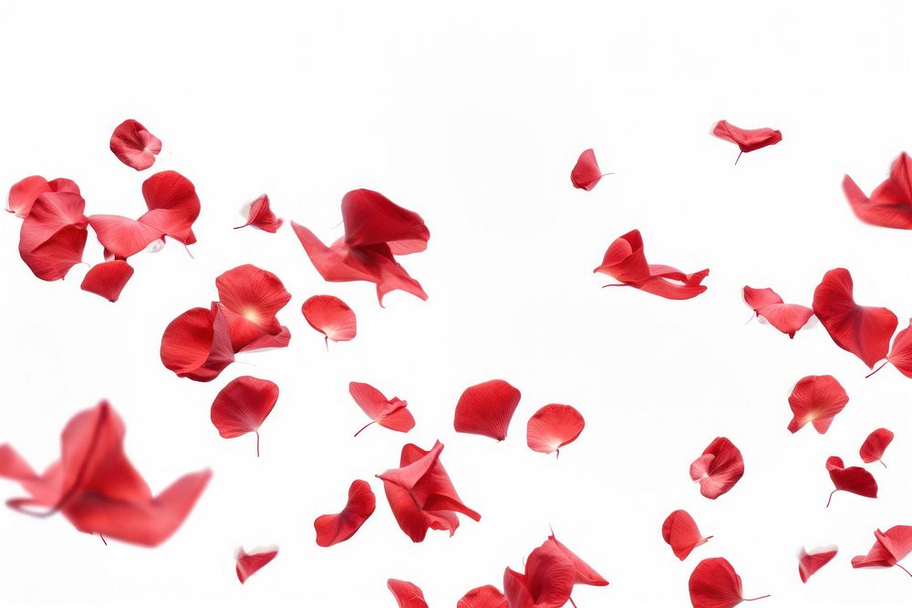 Some red rose petals backgrounds flower flying. AI generated Image by rawpixel.