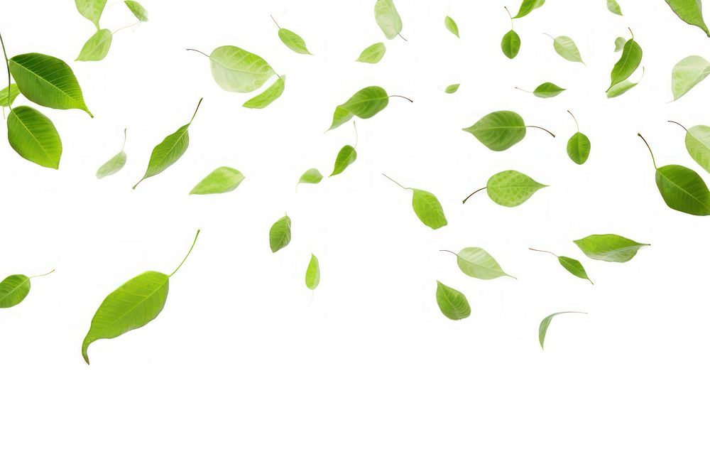 Leaves backgrounds plant leaf. AI generated Image by rawpixel.