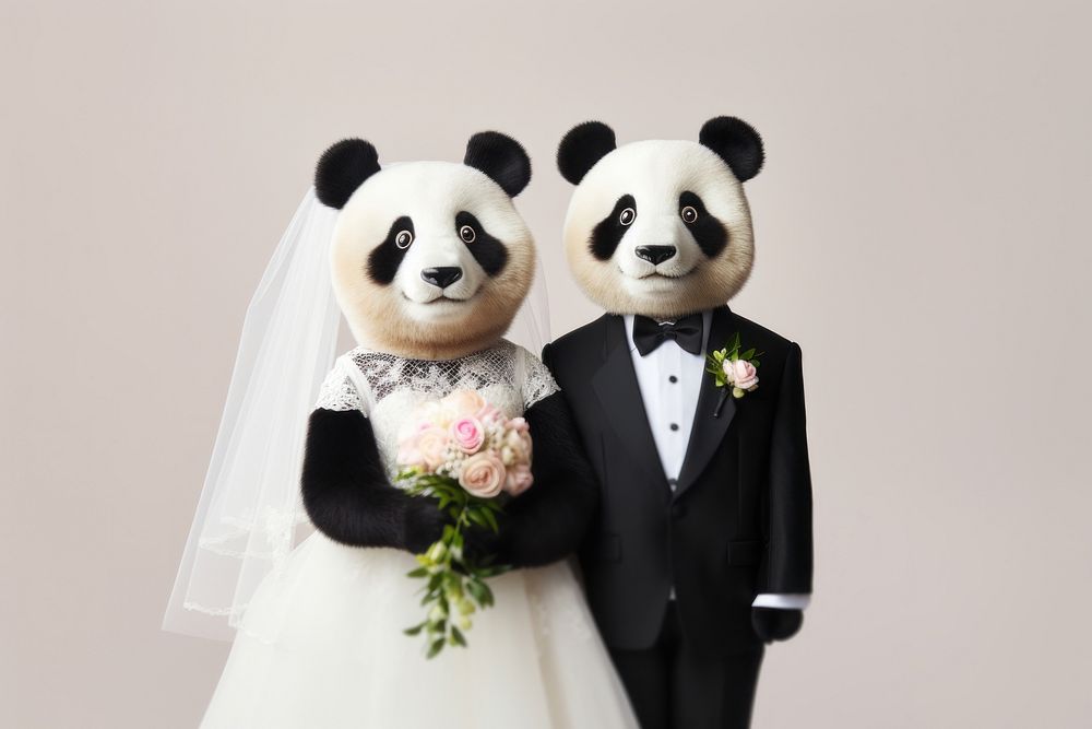 Panda wedding bride portrait. AI generated Image by rawpixel.