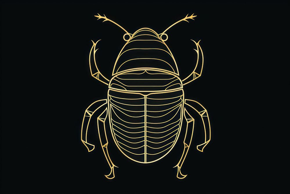 Beetle animal insect invertebrate. AI generated Image by rawpixel.
