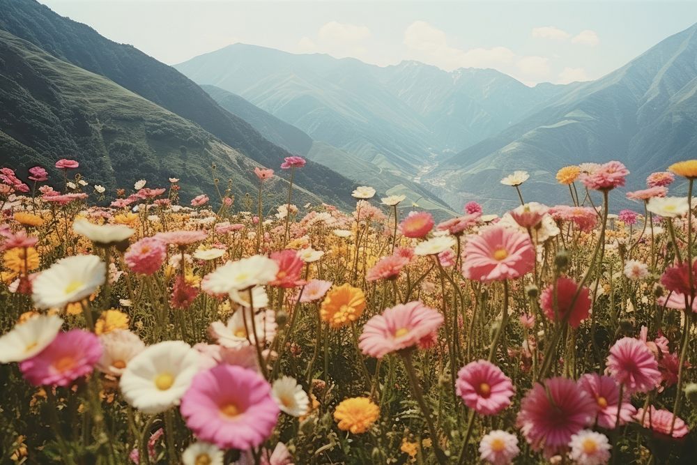 Colorful flowers landscape outdoors nature. AI generated Image by rawpixel.