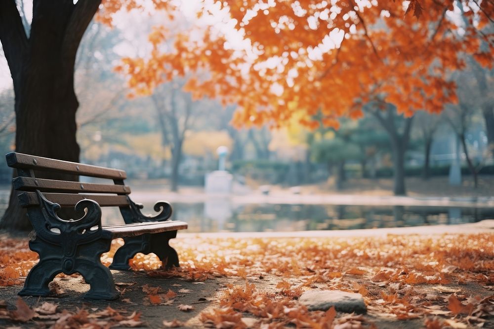 Park autumn bench leaf. AI generated Image by rawpixel.