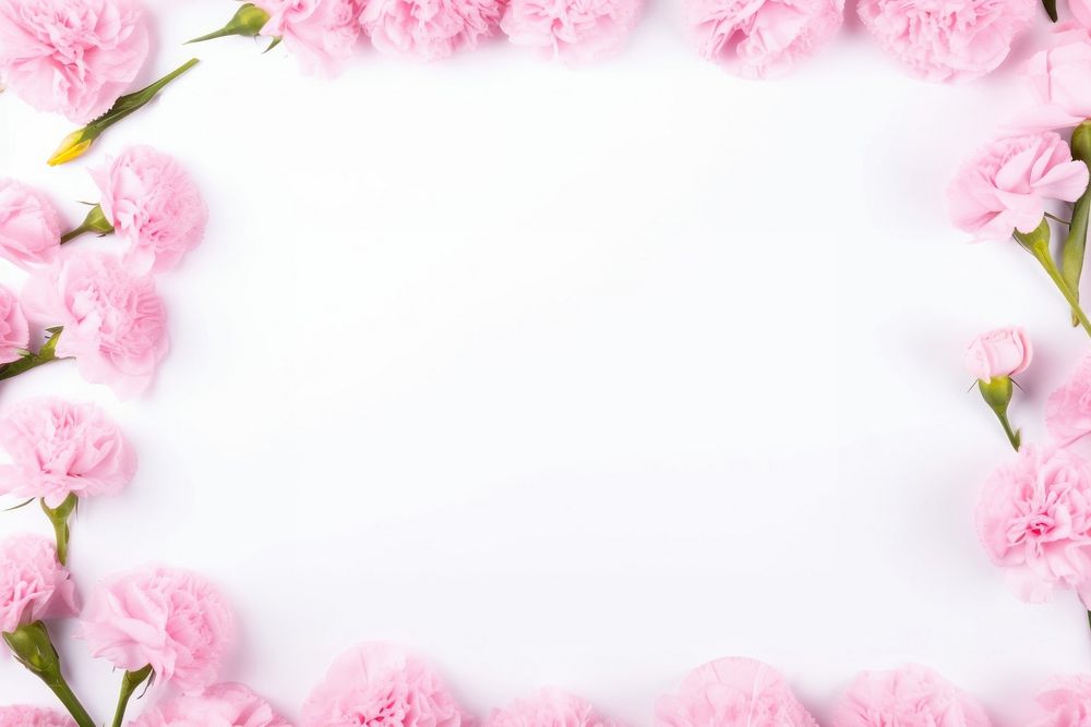Backgrounds carnation flower petal. AI generated Image by rawpixel.
