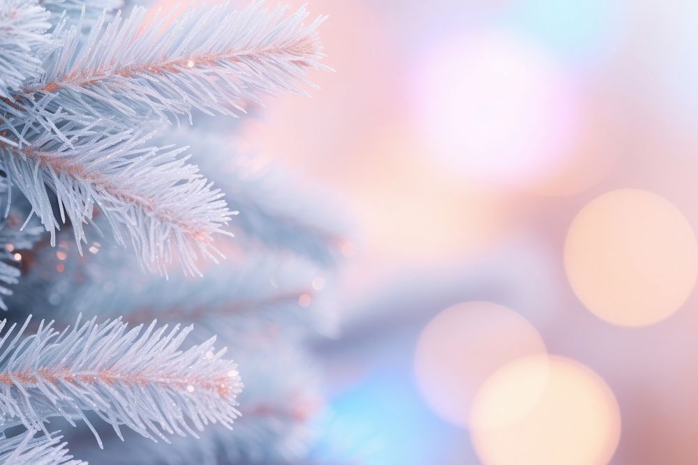 Christmas tree branch christmas backgrounds nature. AI generated Image by rawpixel.