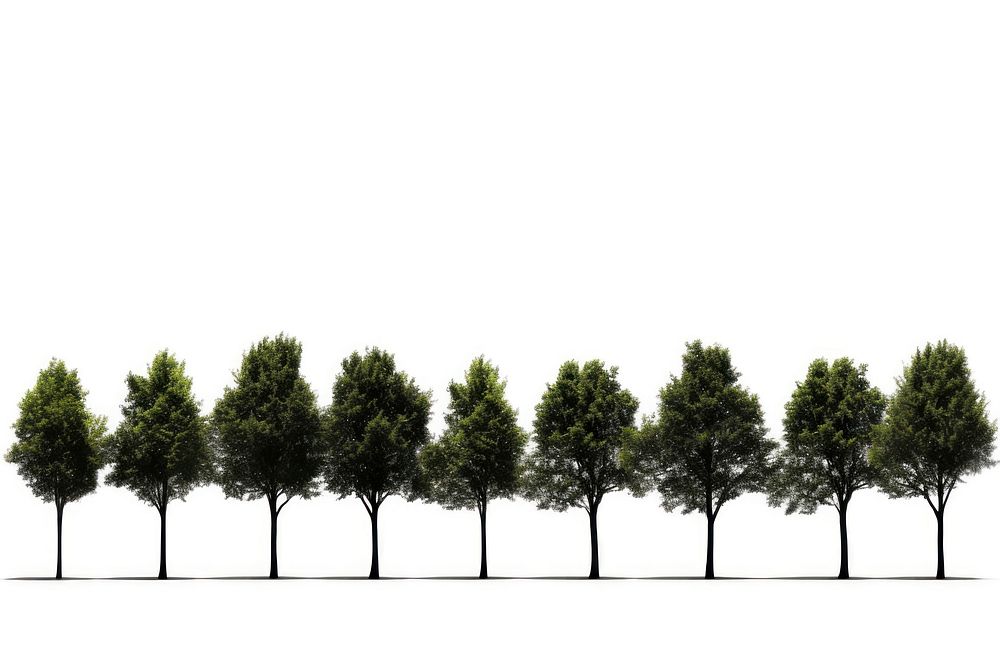 Tree line outdoors nature plant. AI generated Image by rawpixel.