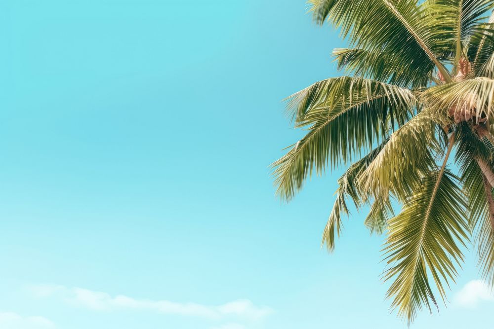 Summer plam trees backgrounds outdoors nature. AI generated Image by rawpixel.