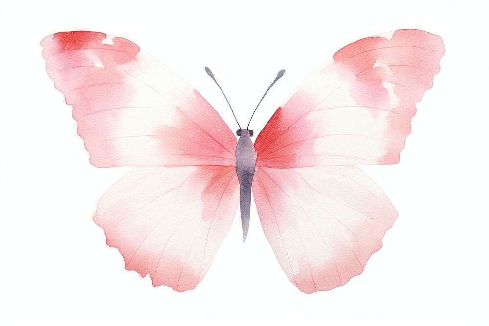 Minimal butterfly animal insect invertebrate. AI generated Image by rawpixel.