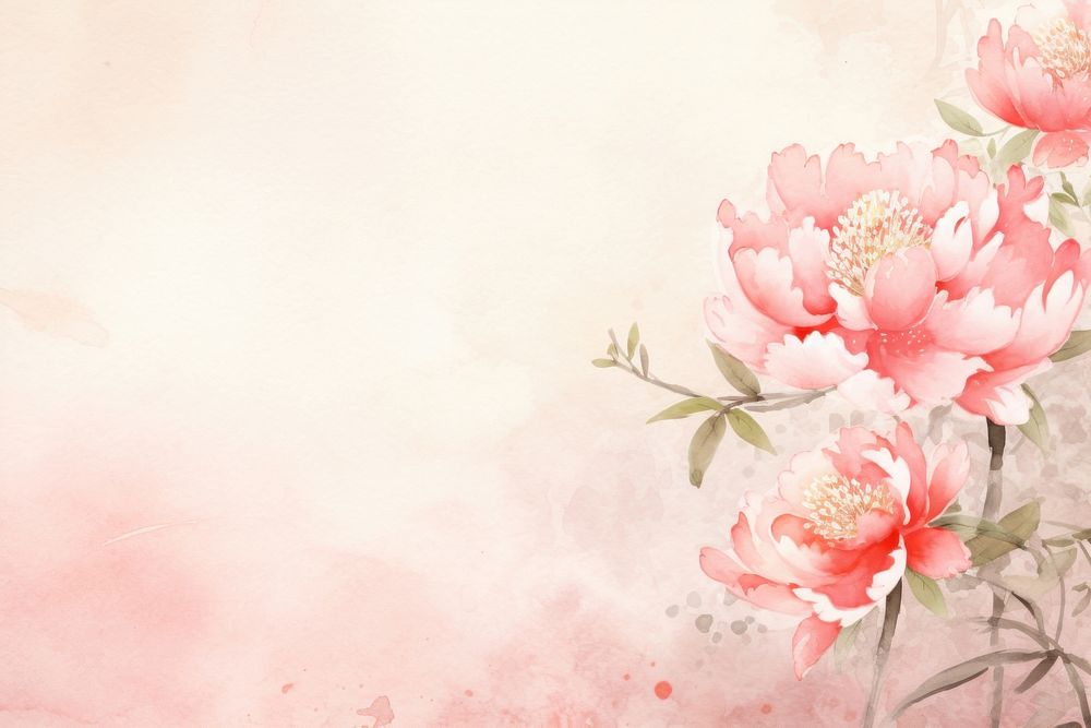 Peony backgrounds blossom flower. AI generated Image by rawpixel.