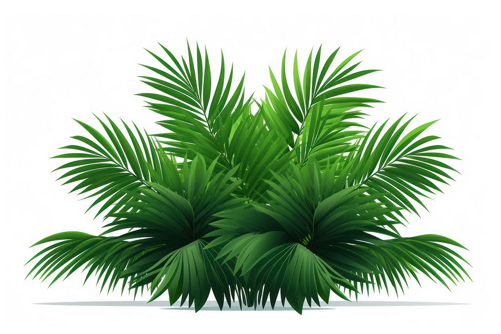 Bush of tropical palm leaves vegetation outdoors nature. AI generated Image by rawpixel.